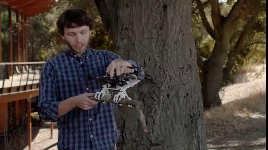 Stanford engineers 3D-print robot birds