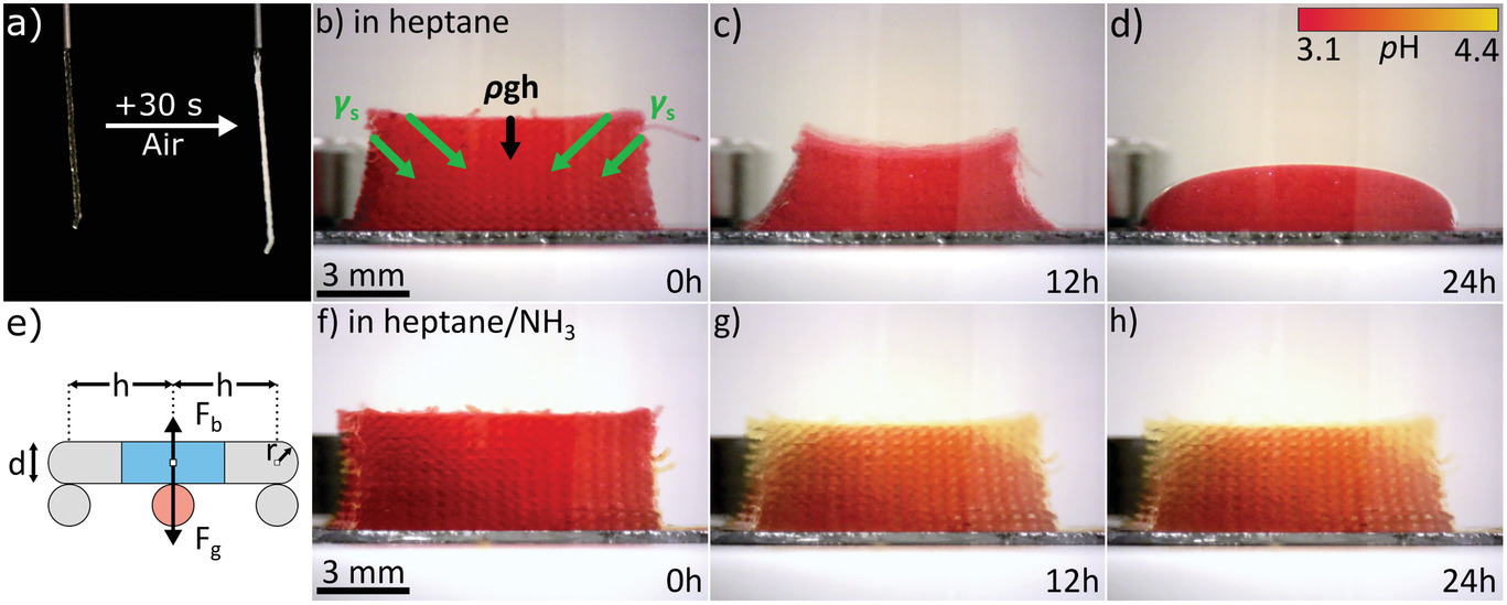 University of Hamburg: Direct ink writing technology for 3D printing TiO2 nanoparticle aerogels